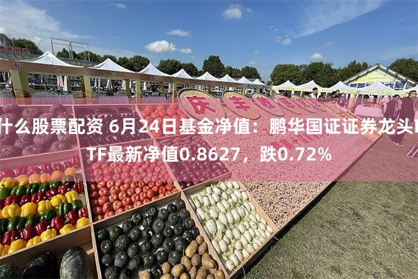 什么股票配资 6月24日基金净值：鹏华国证证券龙头ETF最新净值0.8627，跌0.72%