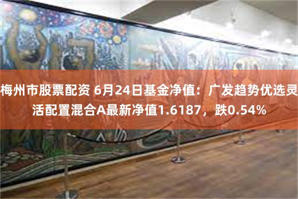 梅州市股票配资 6月24日基金净值：广发趋势优选灵活配置混合A最新净值1.6187，跌0.54%