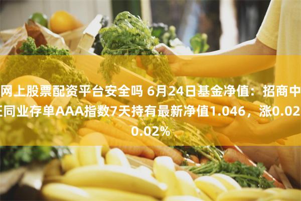 网上股票配资平台安全吗 6月24日基金净值：招商中证同业存单AAA指数7天持有最新净值1.046，涨0.02%