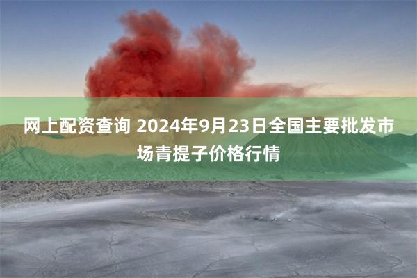 网上配资查询 2024年9月23日全国主要批发市场青提子价格行情