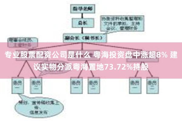 专业股票配资公司是什么 粤海投资盘中涨超8% 建议实物分派粤