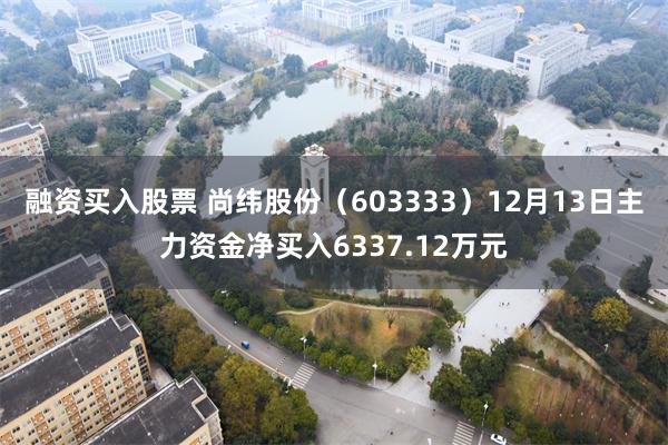 融资买入股票 尚纬股份（603333）12月13日主力资金净买入6337.12万元