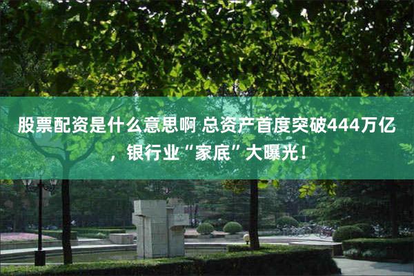 股票配资是什么意思啊 总资产首度突破444万亿，银行业“家底”大曝光！