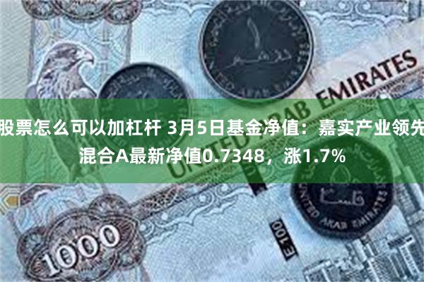 股票怎么可以加杠杆 3月5日基金净值：嘉实产业领先混合A最新