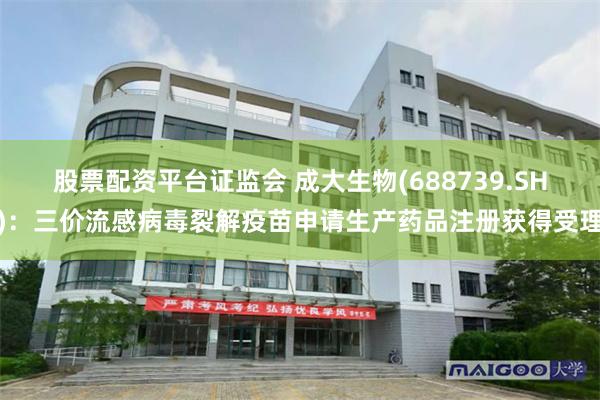 股票配资平台证监会 成大生物(688739.SH)：三价流感